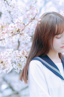 花间令 电视剧